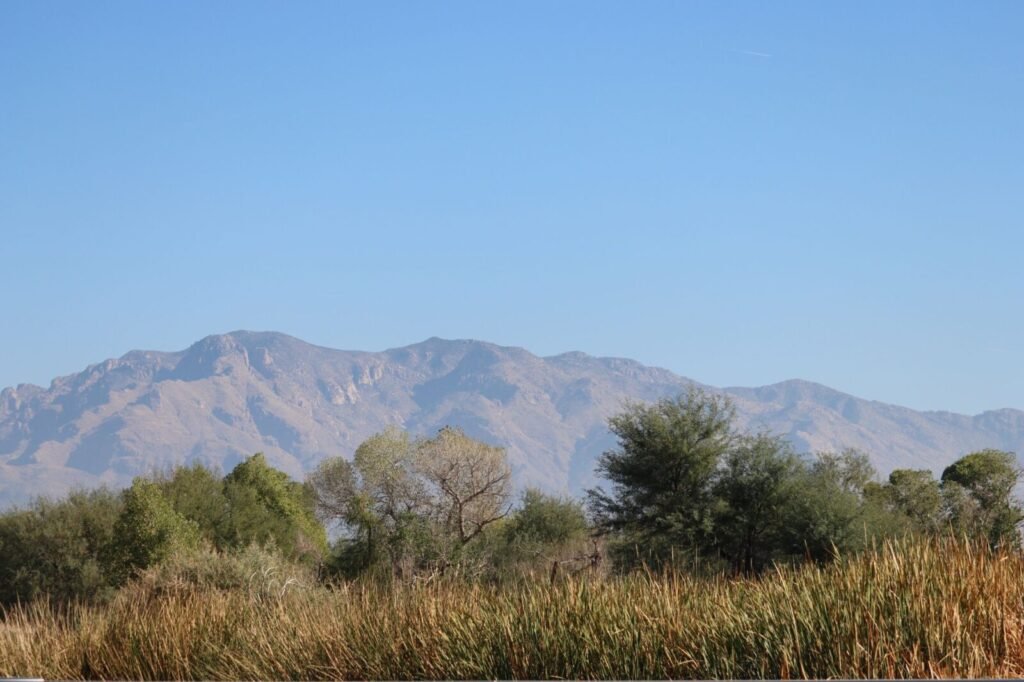Tucson skyline business phone system guide