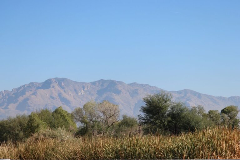 Tucson Arizona skyline for business phone system providers in the Tucson metro area.