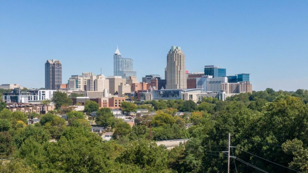 Raleigh skyline business phone system guide